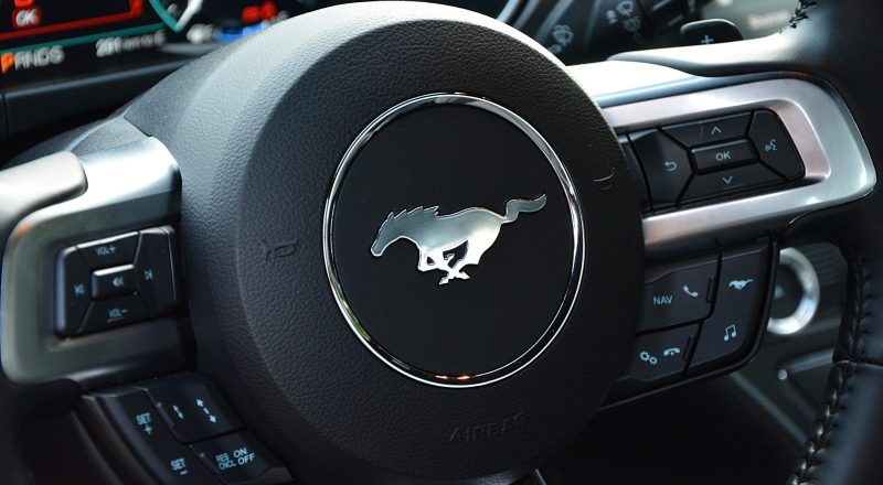 Ukročeni konji &#8211; Ford Mustang