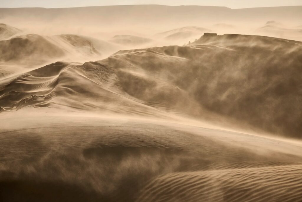 Kako je Ford Transit obvladal pu&scaron;čavski izziv